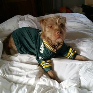 Meet your Posher, Nadine